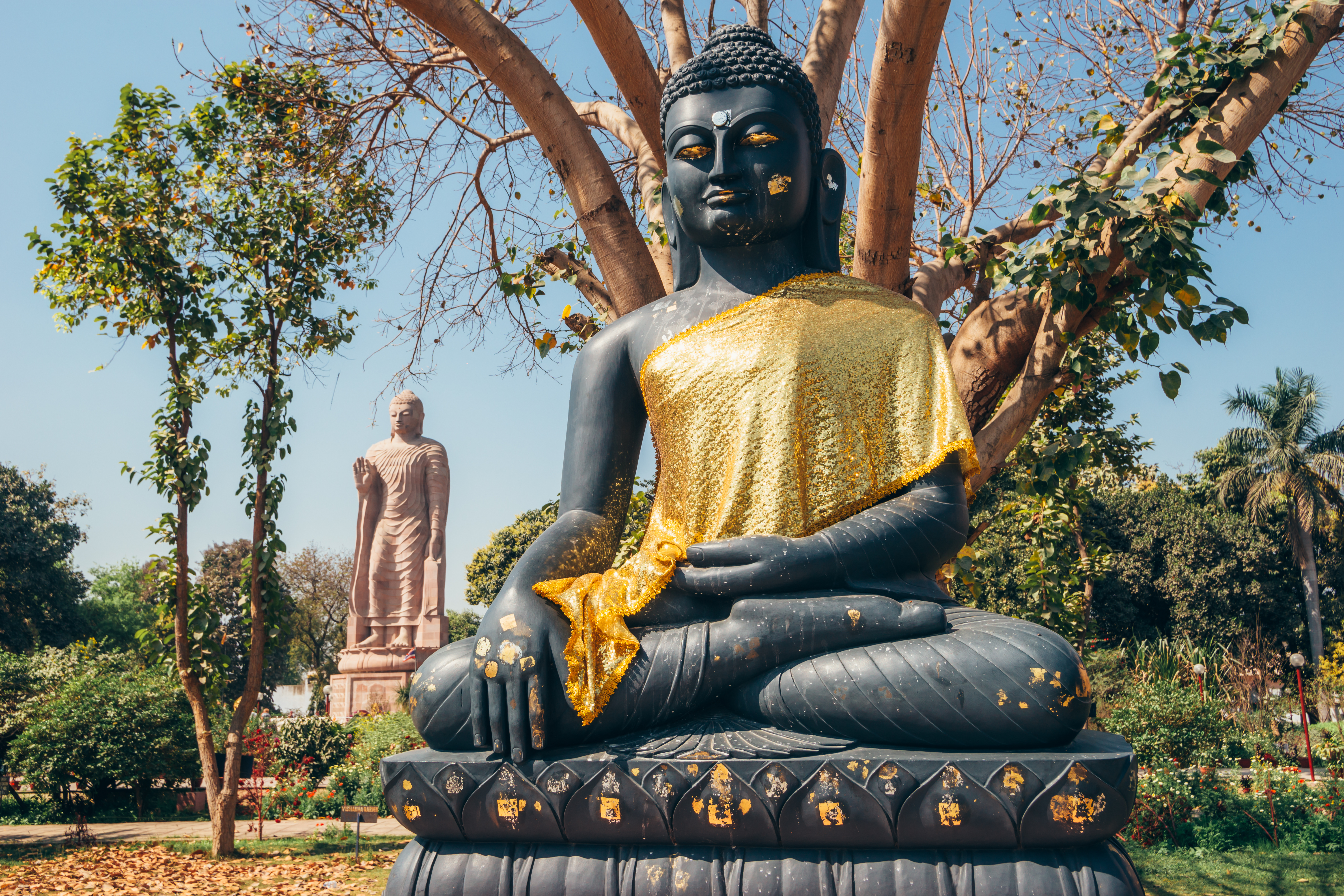 Socha Budhu v Sarnath